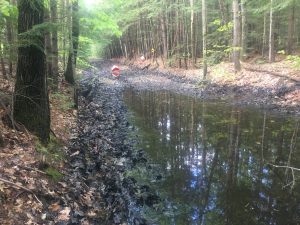 Stevens Rail Trail wet section May 25, 2019